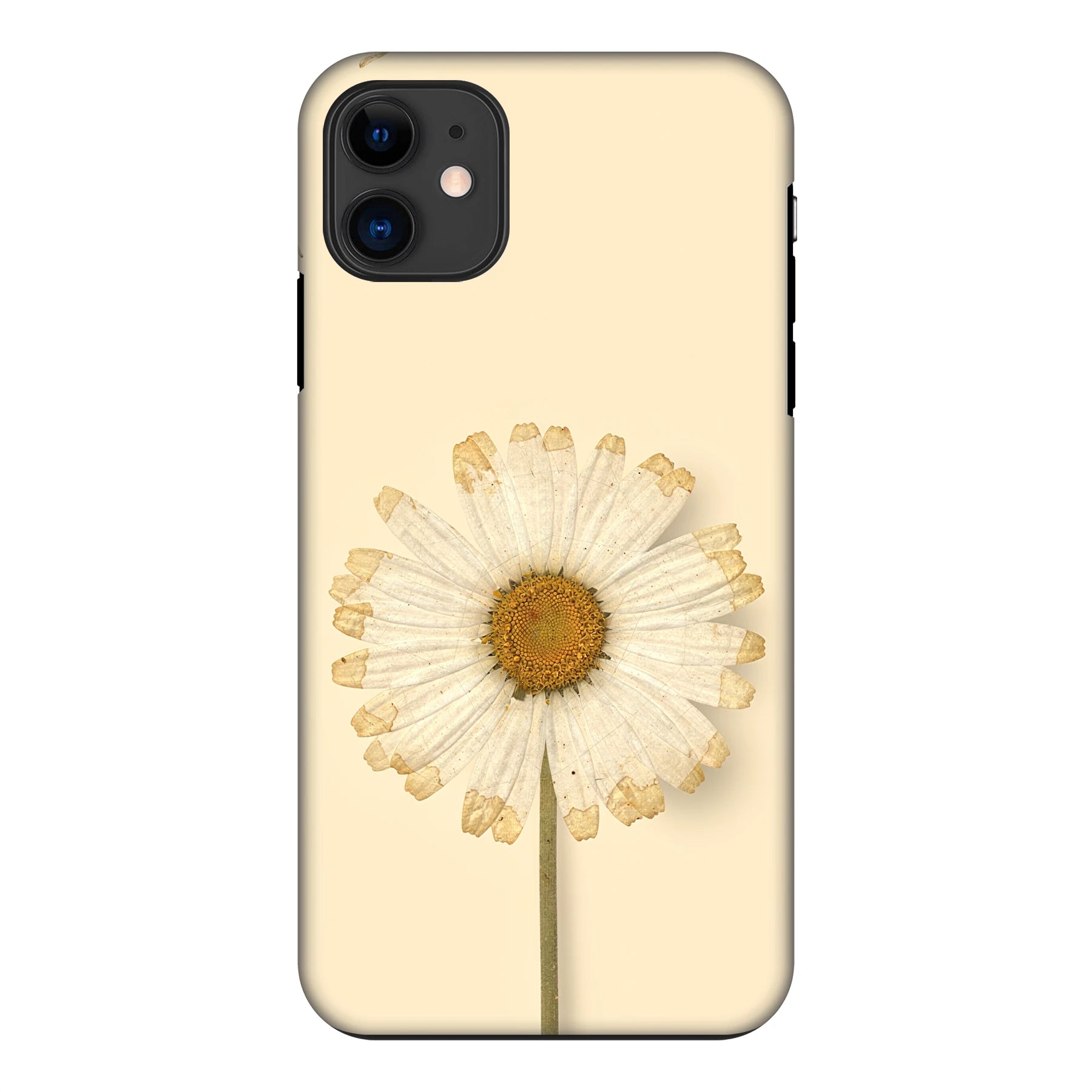 Apple iPhone 11 phone case