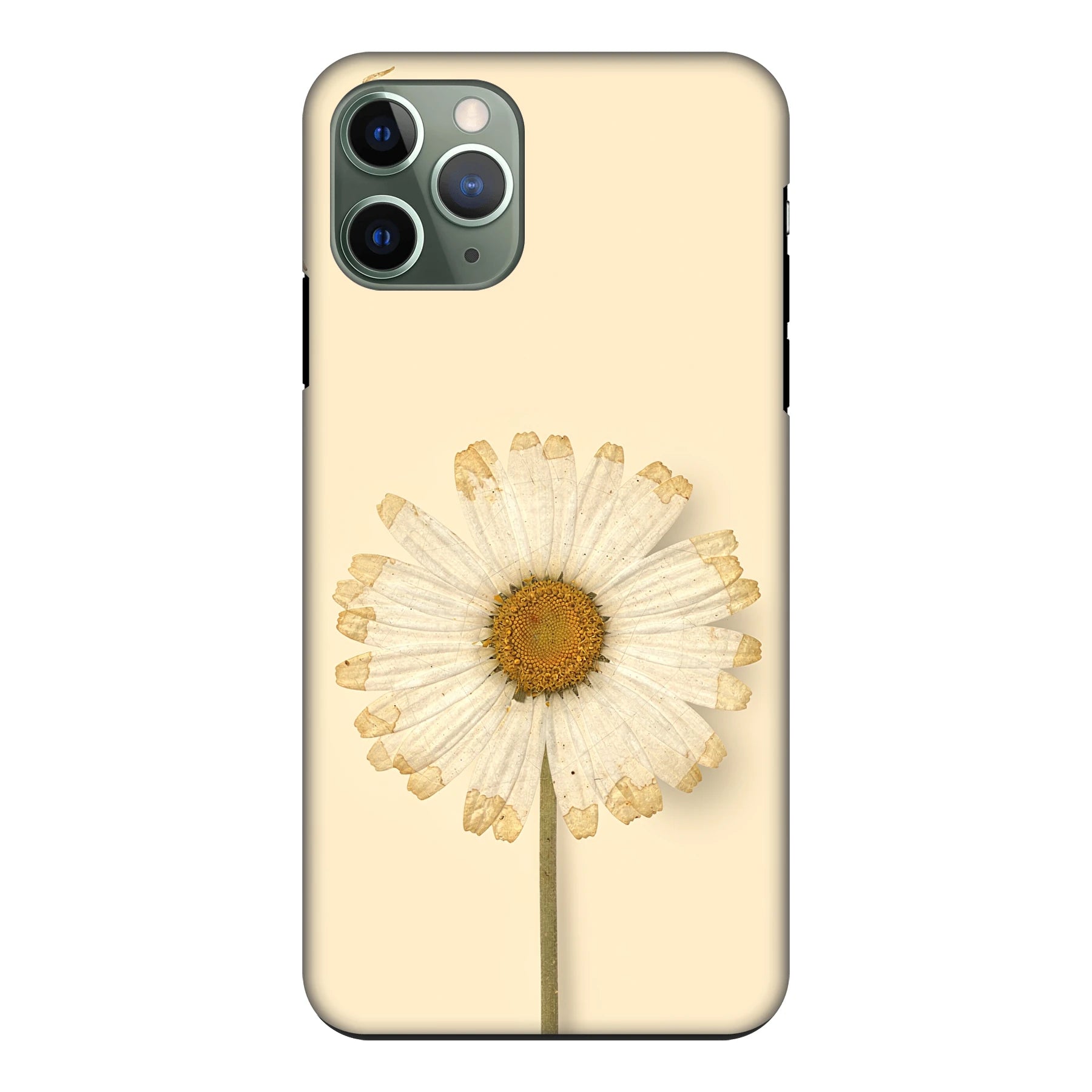 Apple iPhone 11 Pro phone case