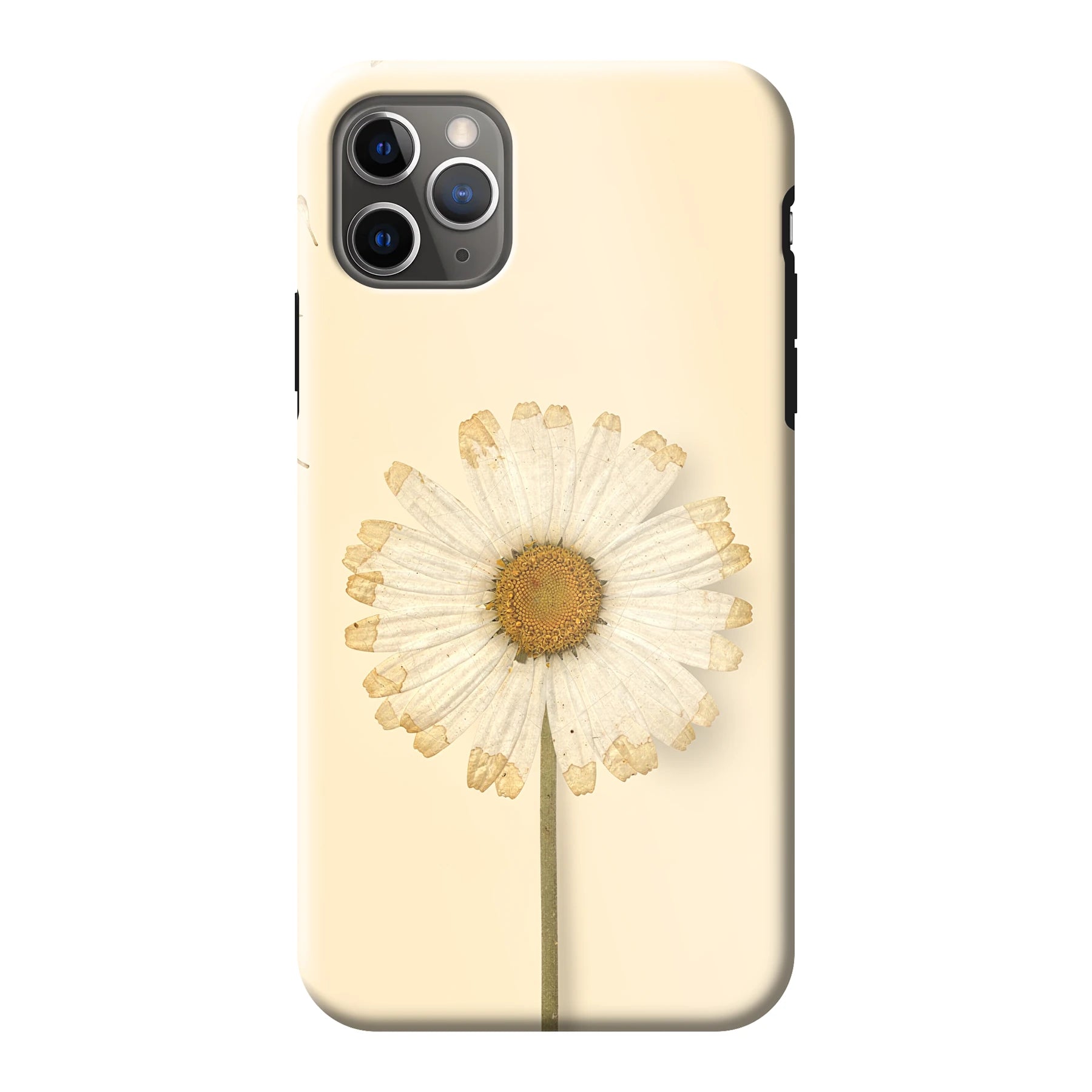 Apple iPhone 11 Pro Max phone case