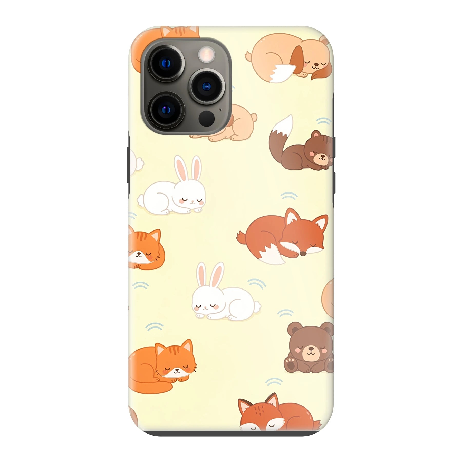 Apple iPhone 12 Pro Max phone case