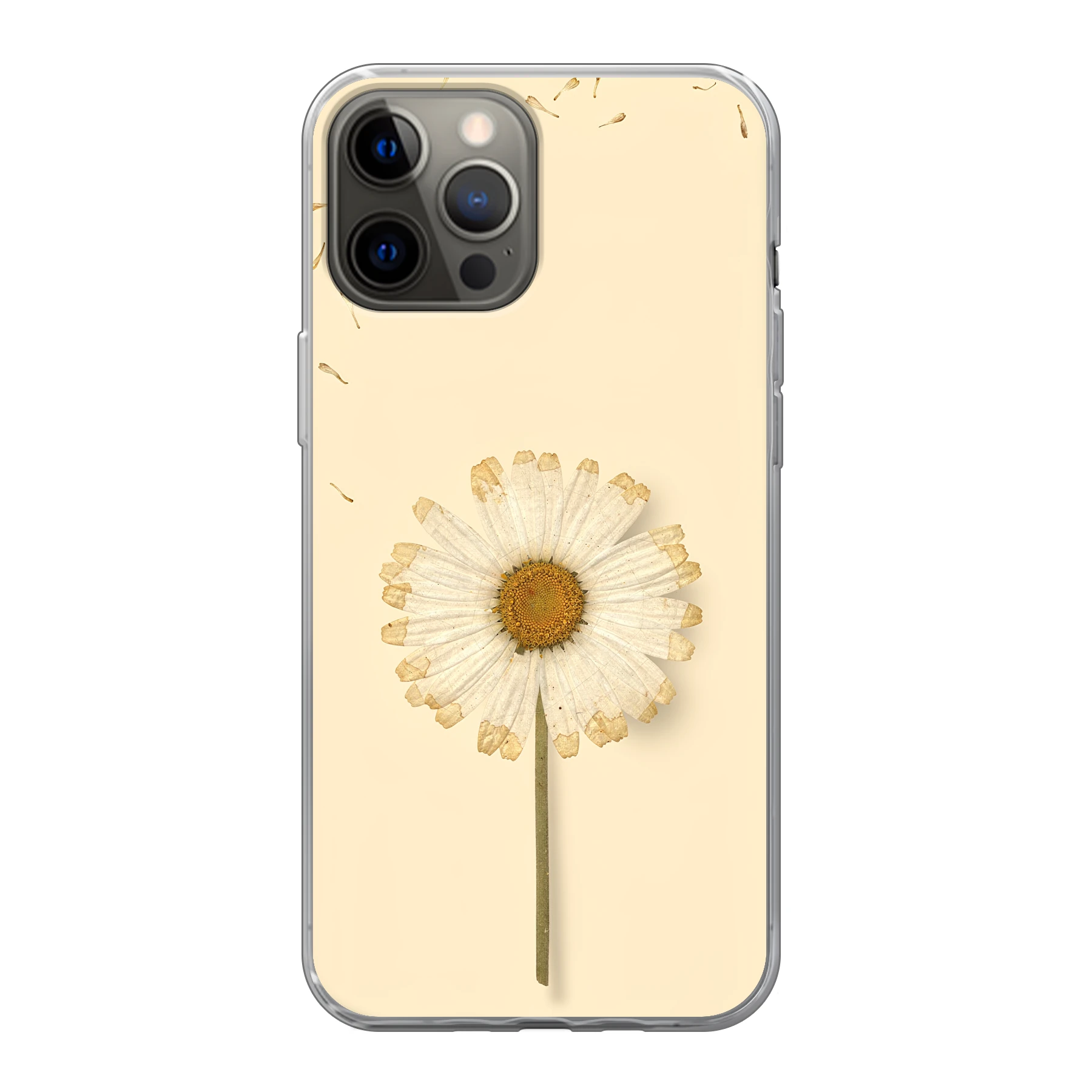 Apple iPhone 12 Pro Max phone case