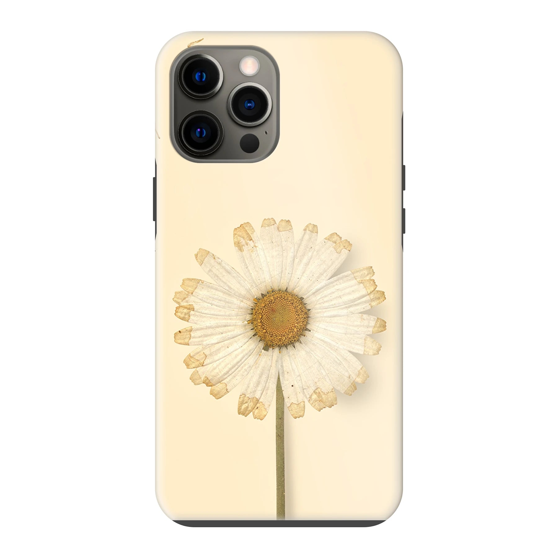 Apple iPhone 12 Pro Max phone case