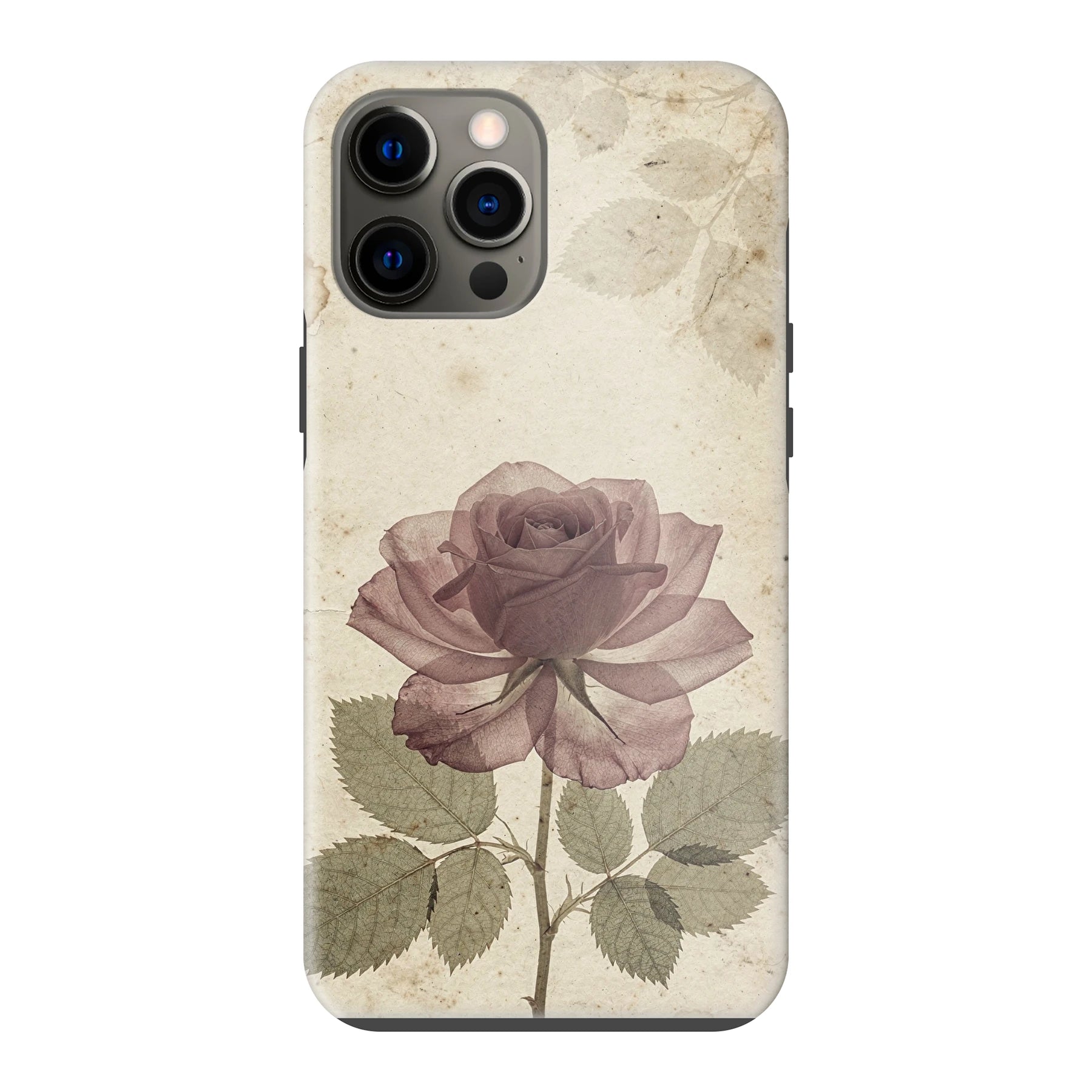 Apple iPhone 12 Pro Max phone case