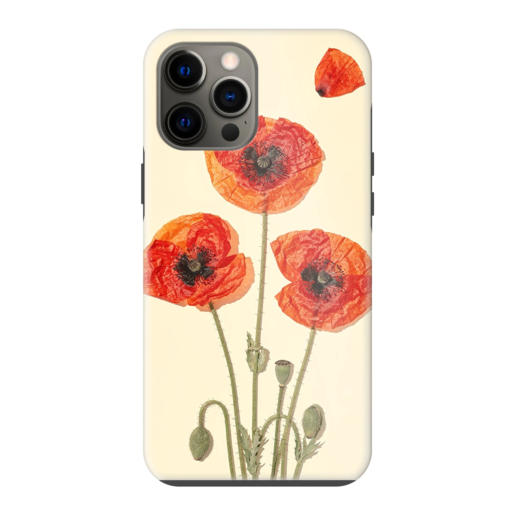 Apple iPhone 12 Pro Max phone case