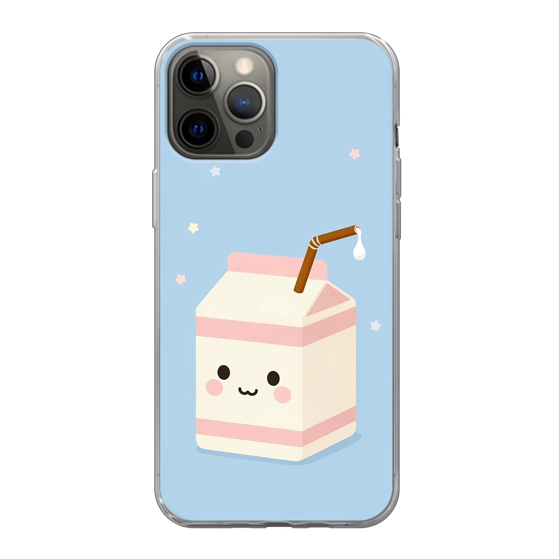 Apple iPhone 12 Pro Max phone case