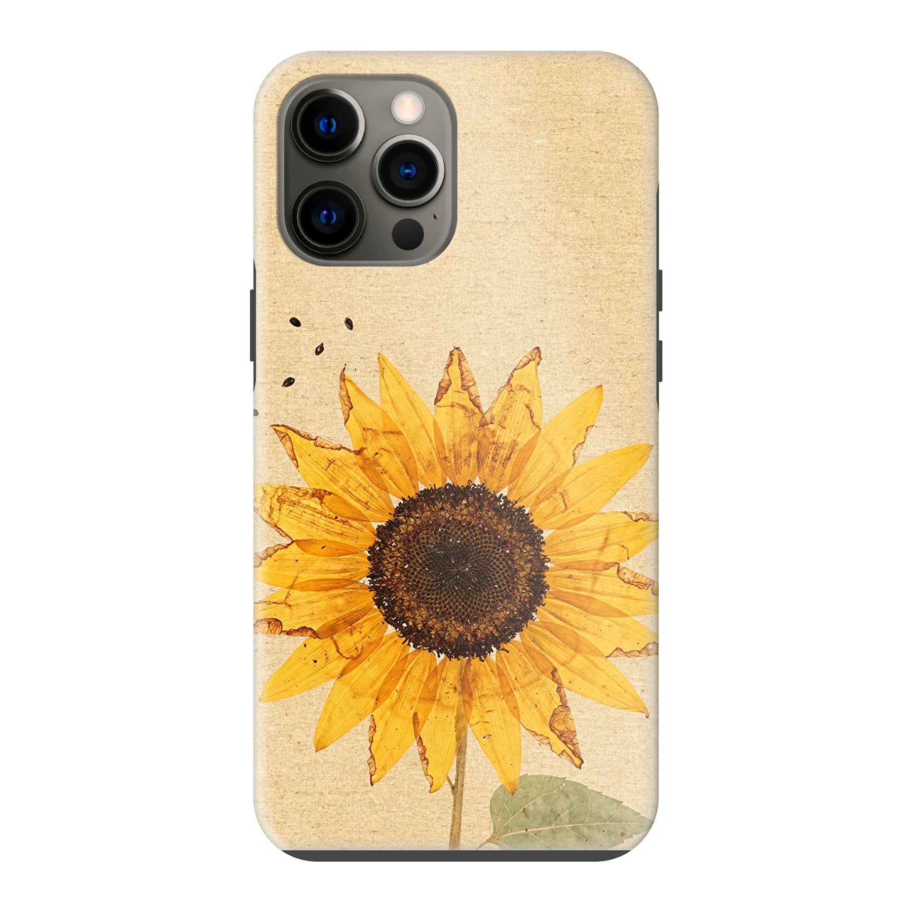 Apple iPhone 12 Pro Max phone case