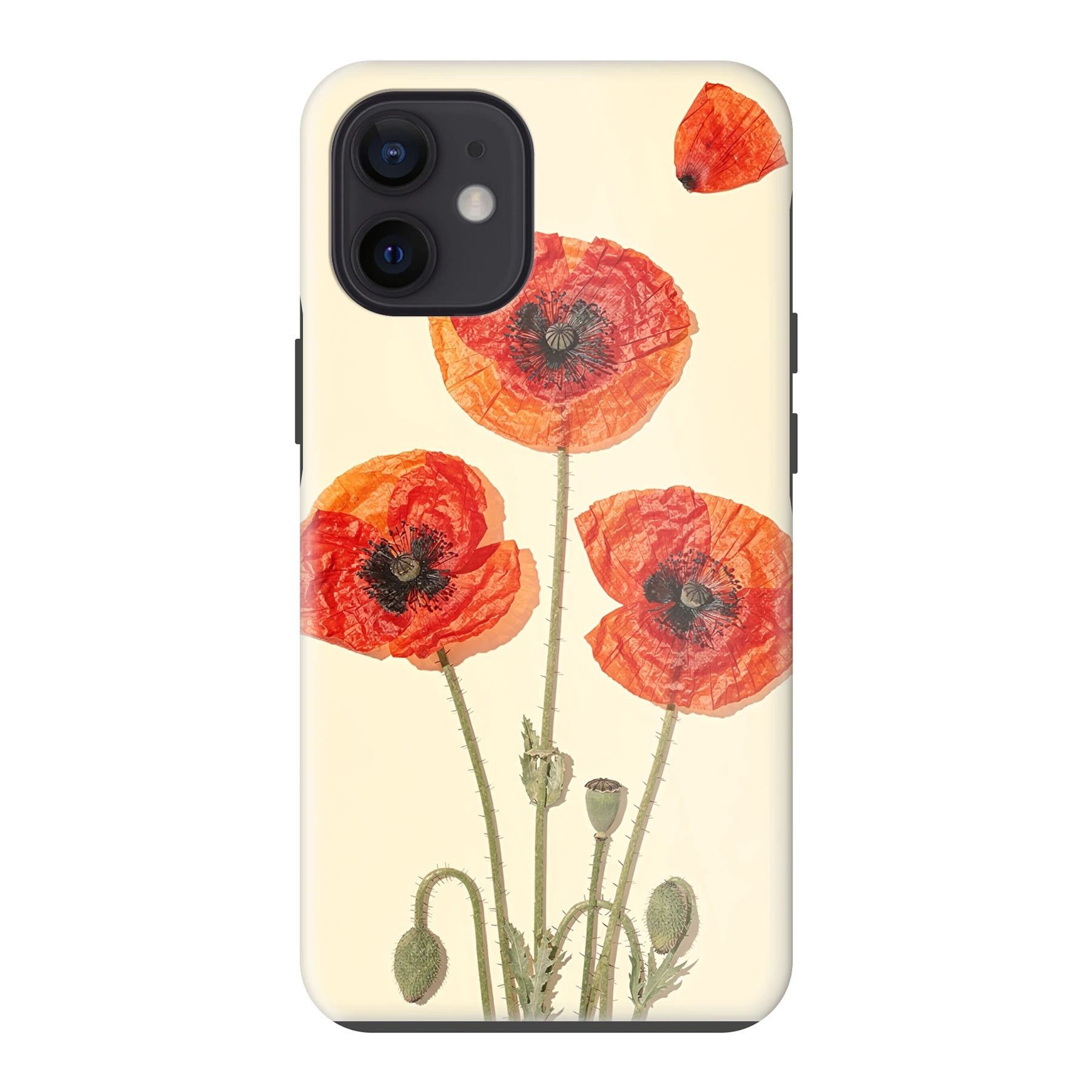 Apple iPhone 12 mini phone case