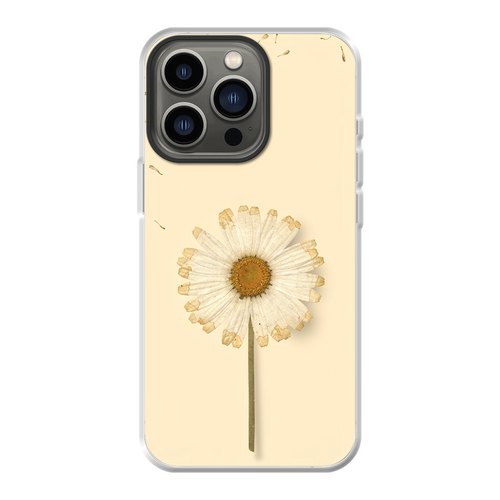 Apple iPhone 13 Pro phone case