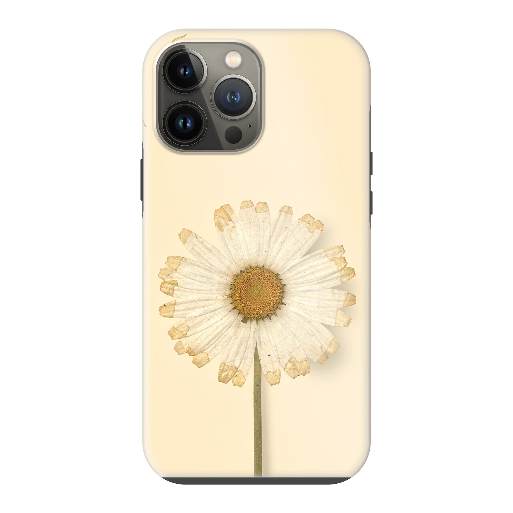 Apple iPhone 13 Pro Max phone case