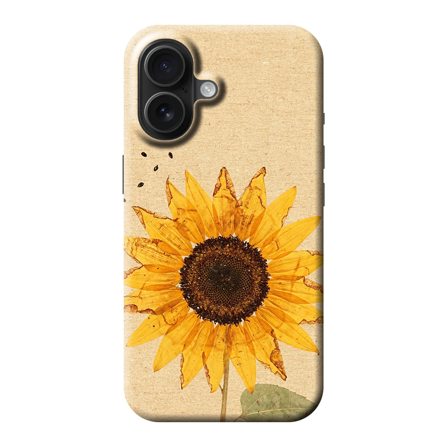 Apple iPhone 16 phone case