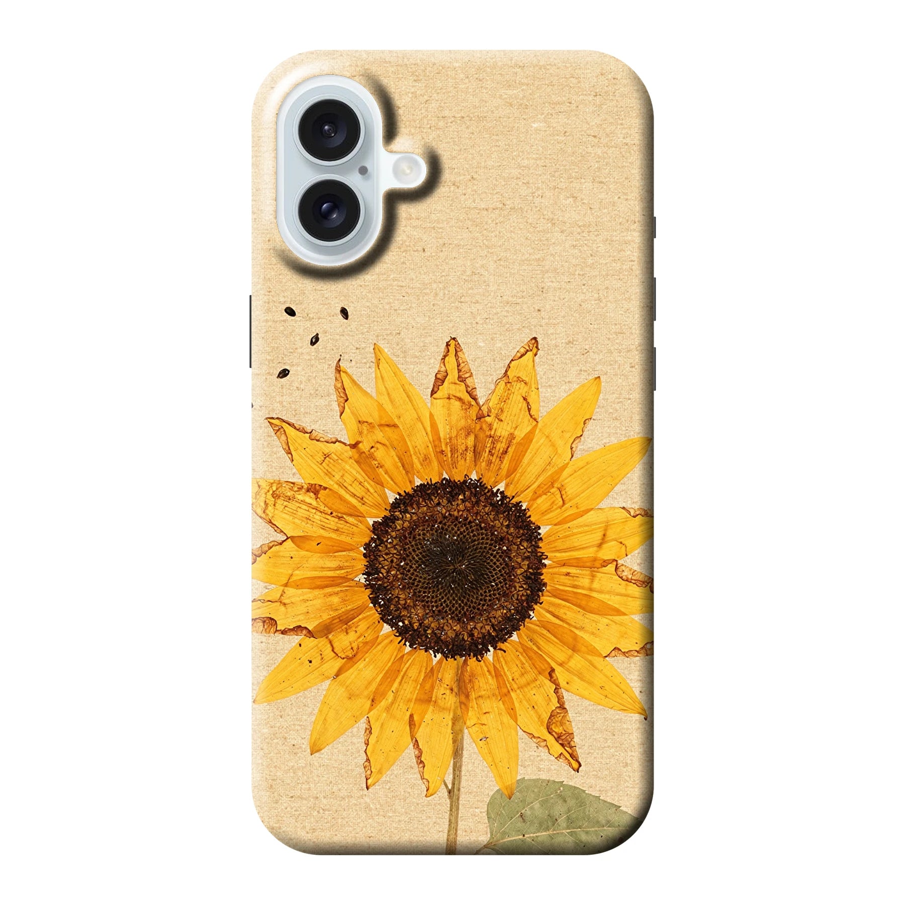 Apple iPhone 16 Plus phone case