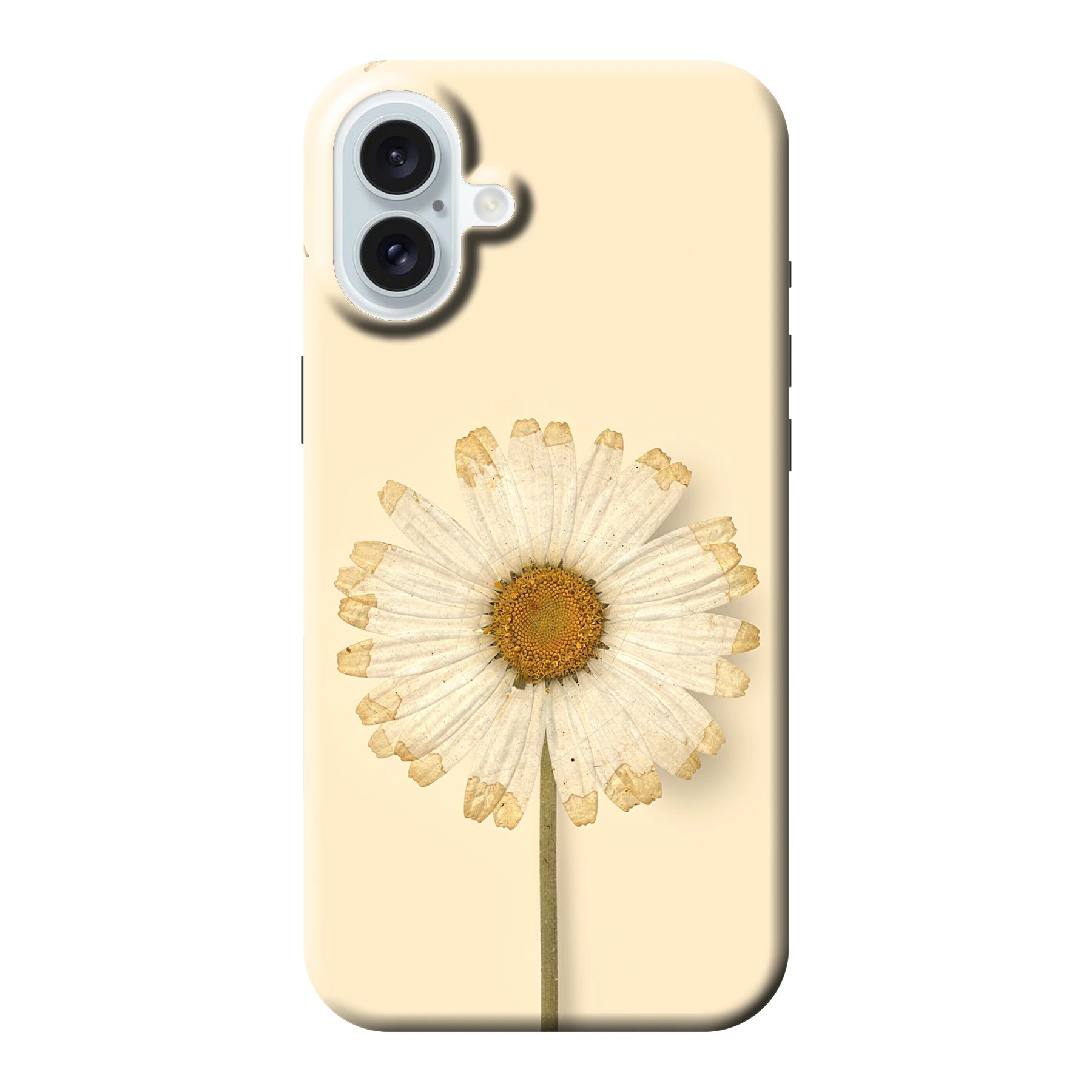 Apple iPhone 16 Plus phone case