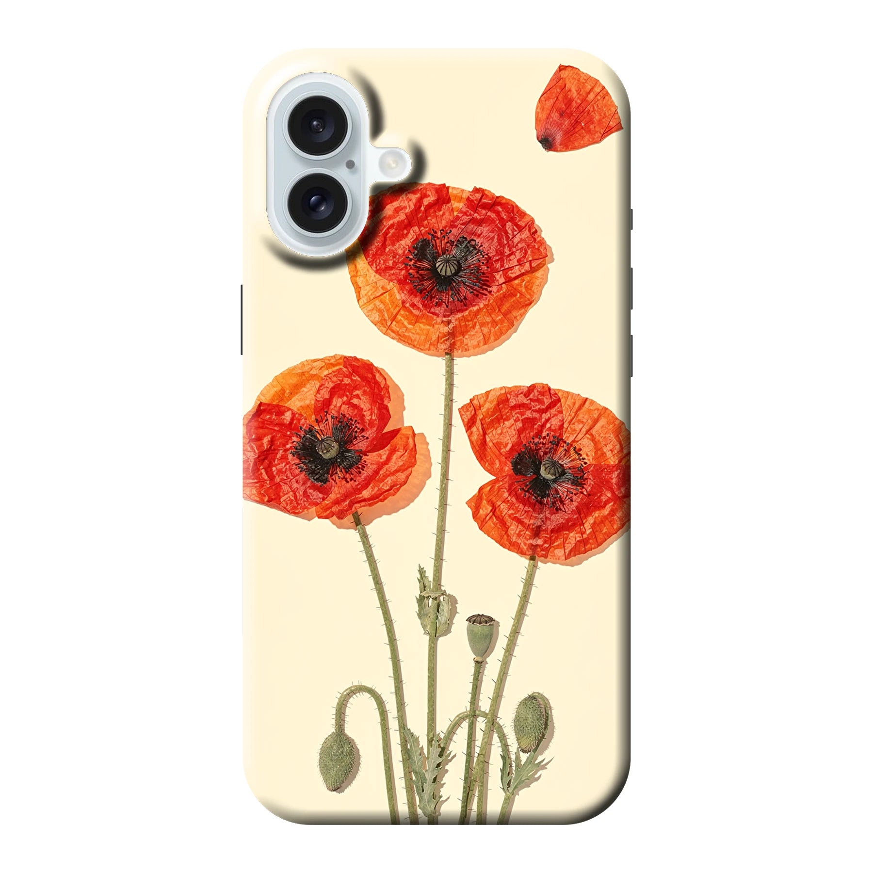 Apple iPhone 16 Plus phone case