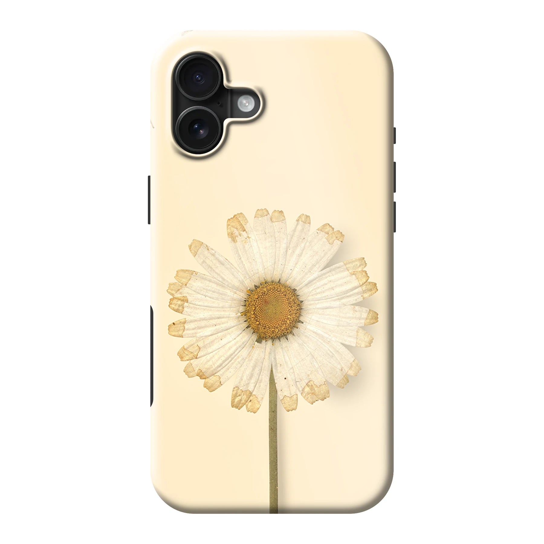 Apple iPhone 16 Plus MagSafe phone case