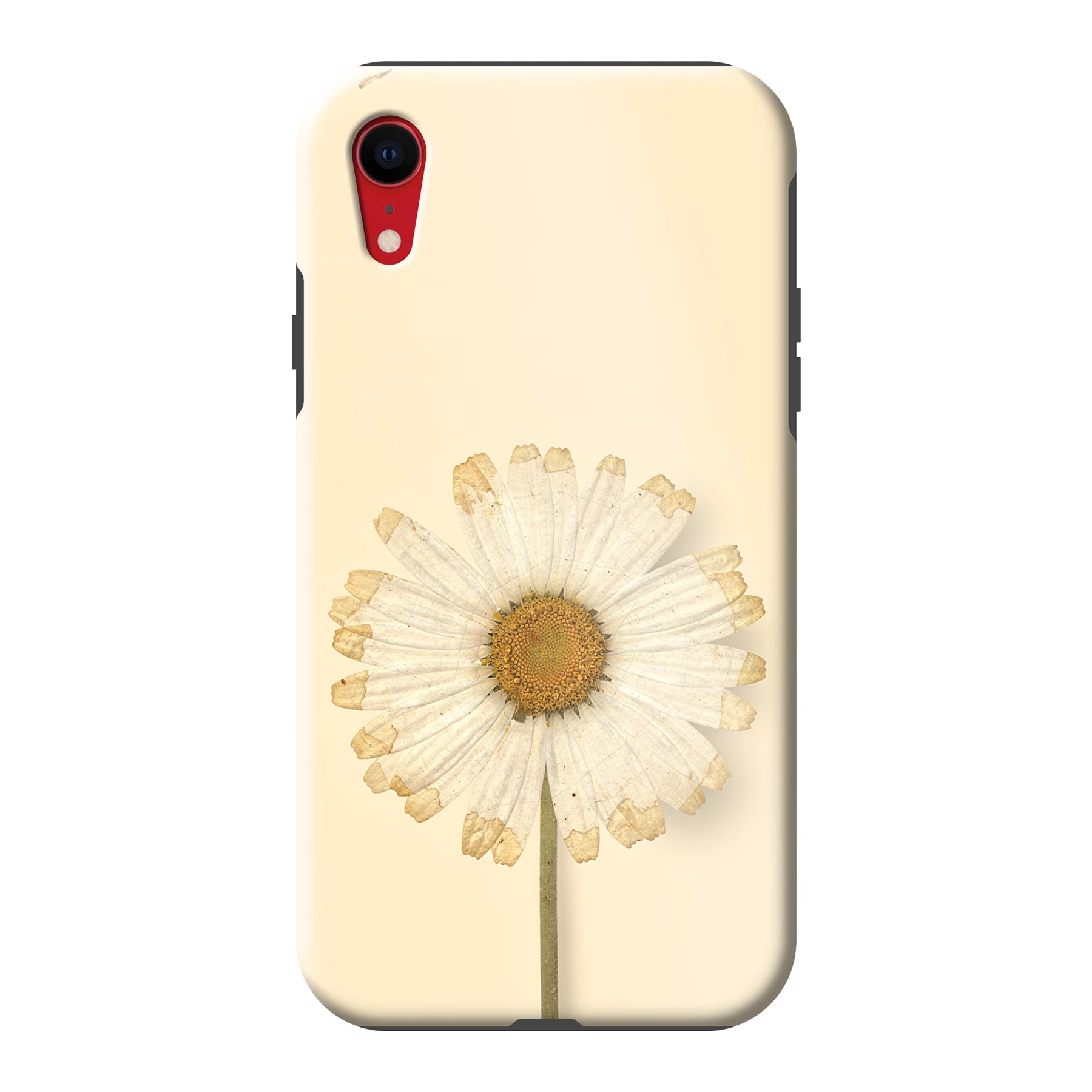 Apple iPhone Xr phone case