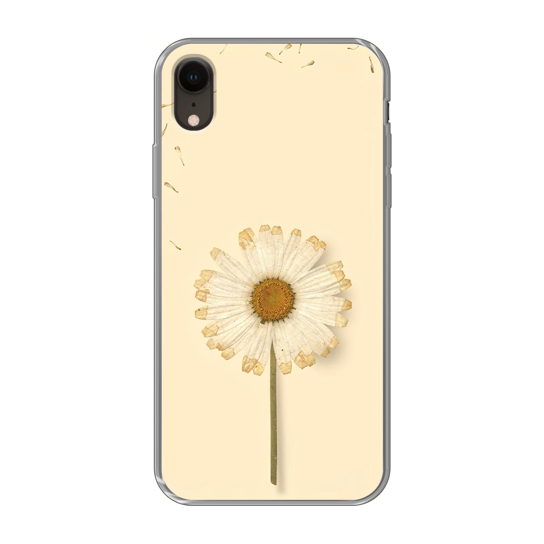 Apple iPhone Xr phone case