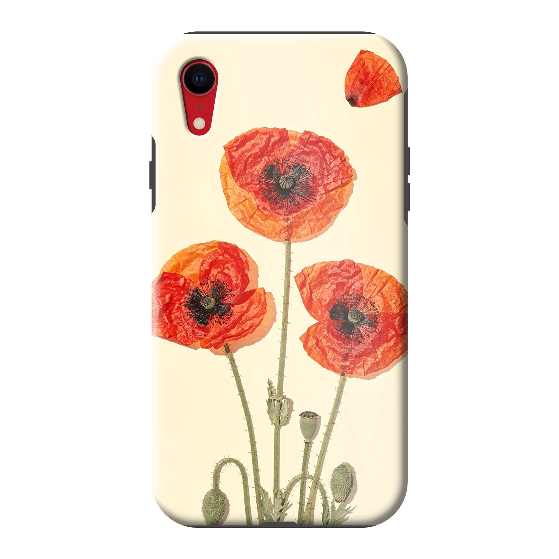 Apple iPhone Xr phone case