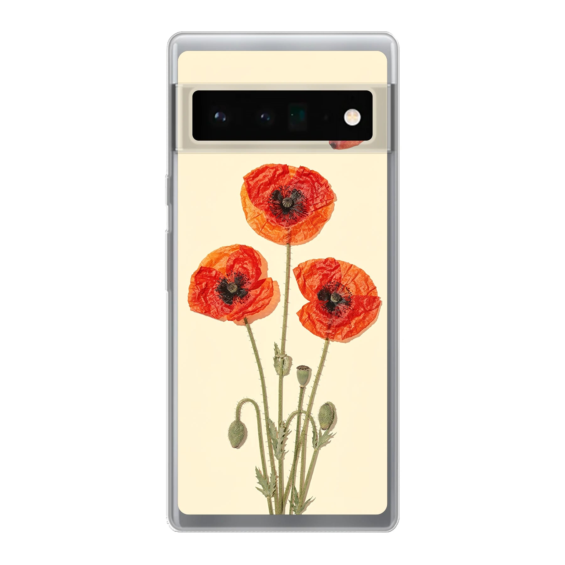 Google Pixel 6 Pro phone case