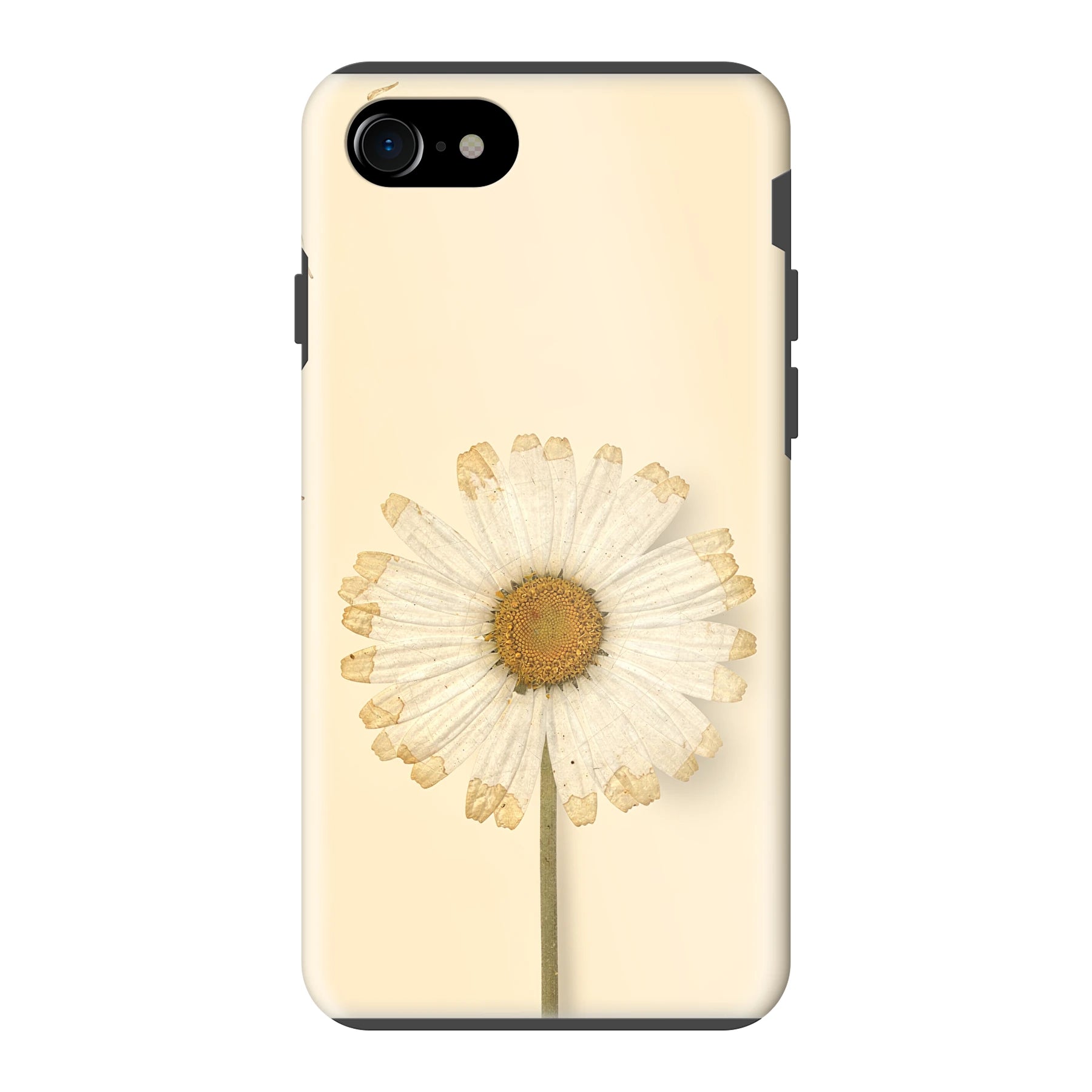 Apple iPhone 7 / 8 / SE (2020) / SE (2022) phone case