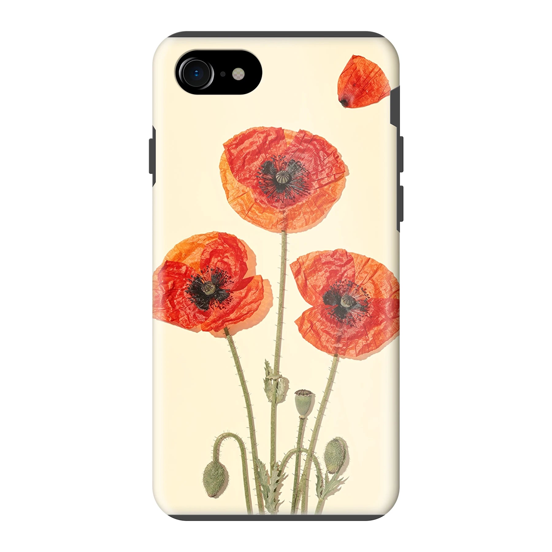 Apple iPhone 7 / 8 / SE (2020) / SE (2022) phone case