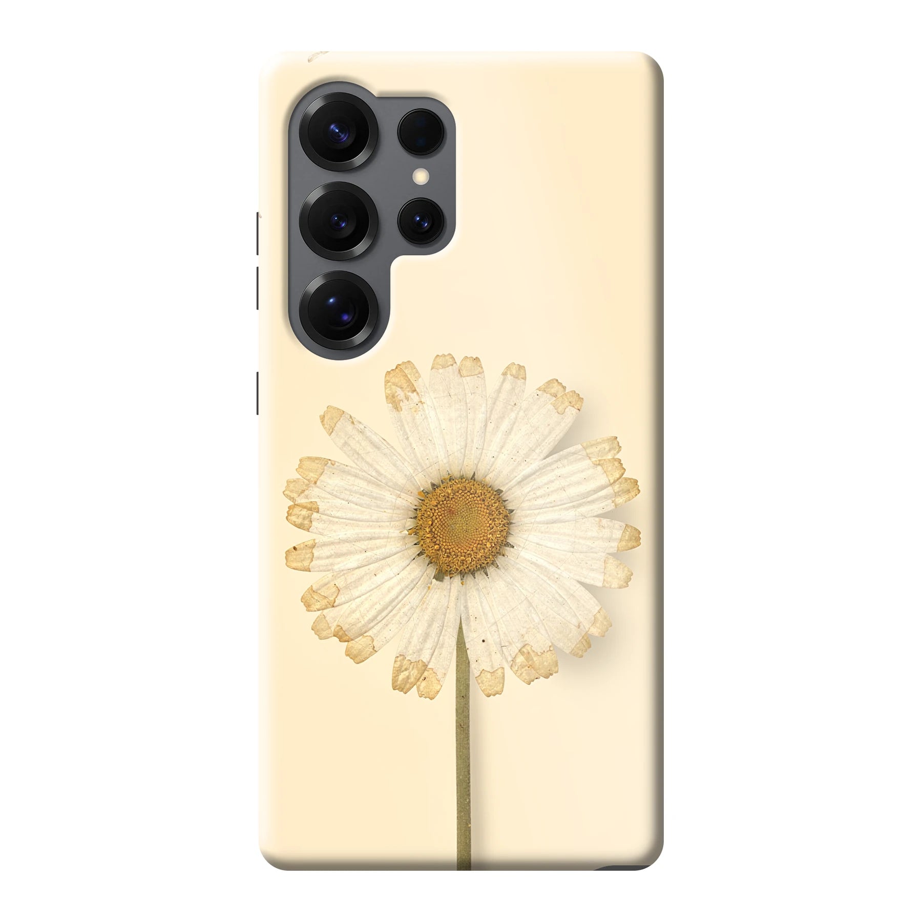Samsung Galaxy S25 Ultra phone case