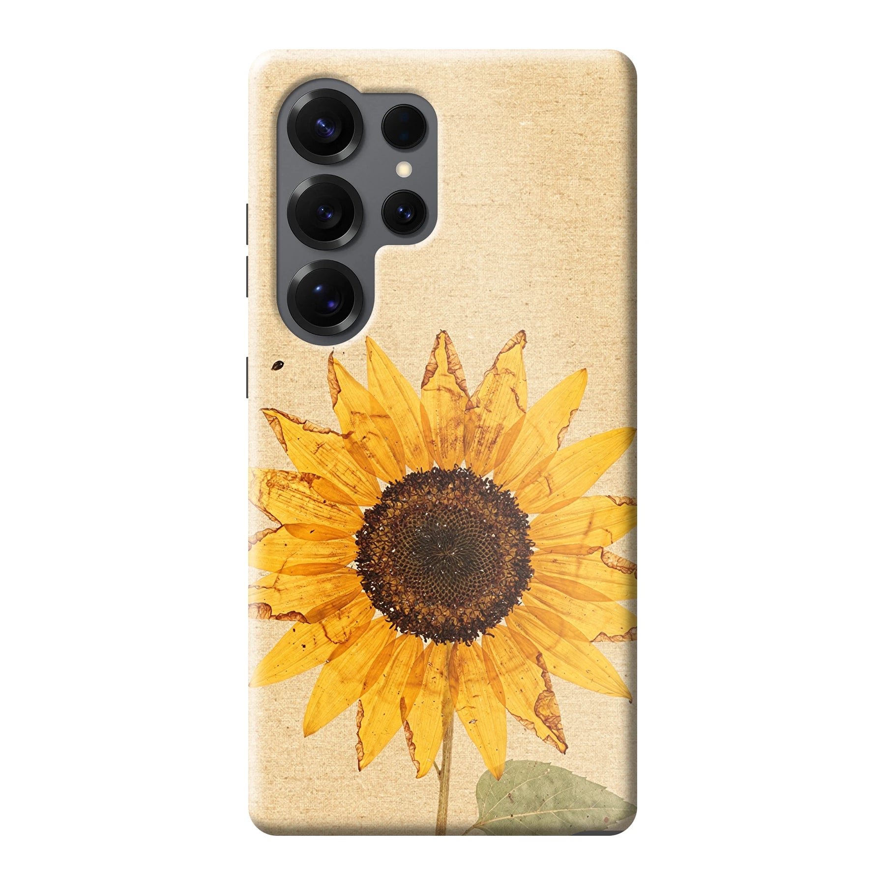 Samsung Galaxy S25 Ultra phone case