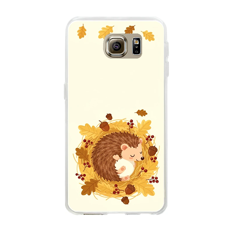 Samsung Galaxy S6 phone case