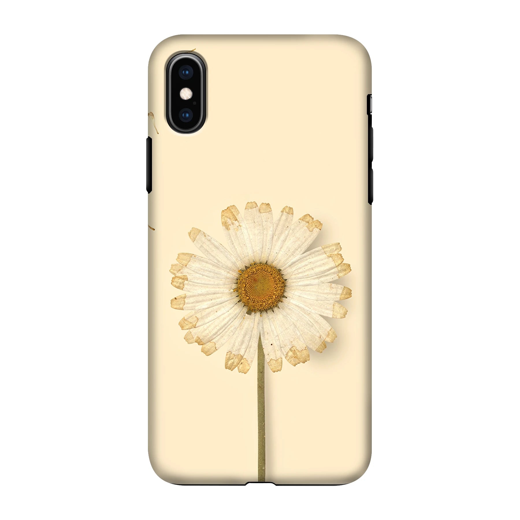 Apple iPhone X / Xs phone case