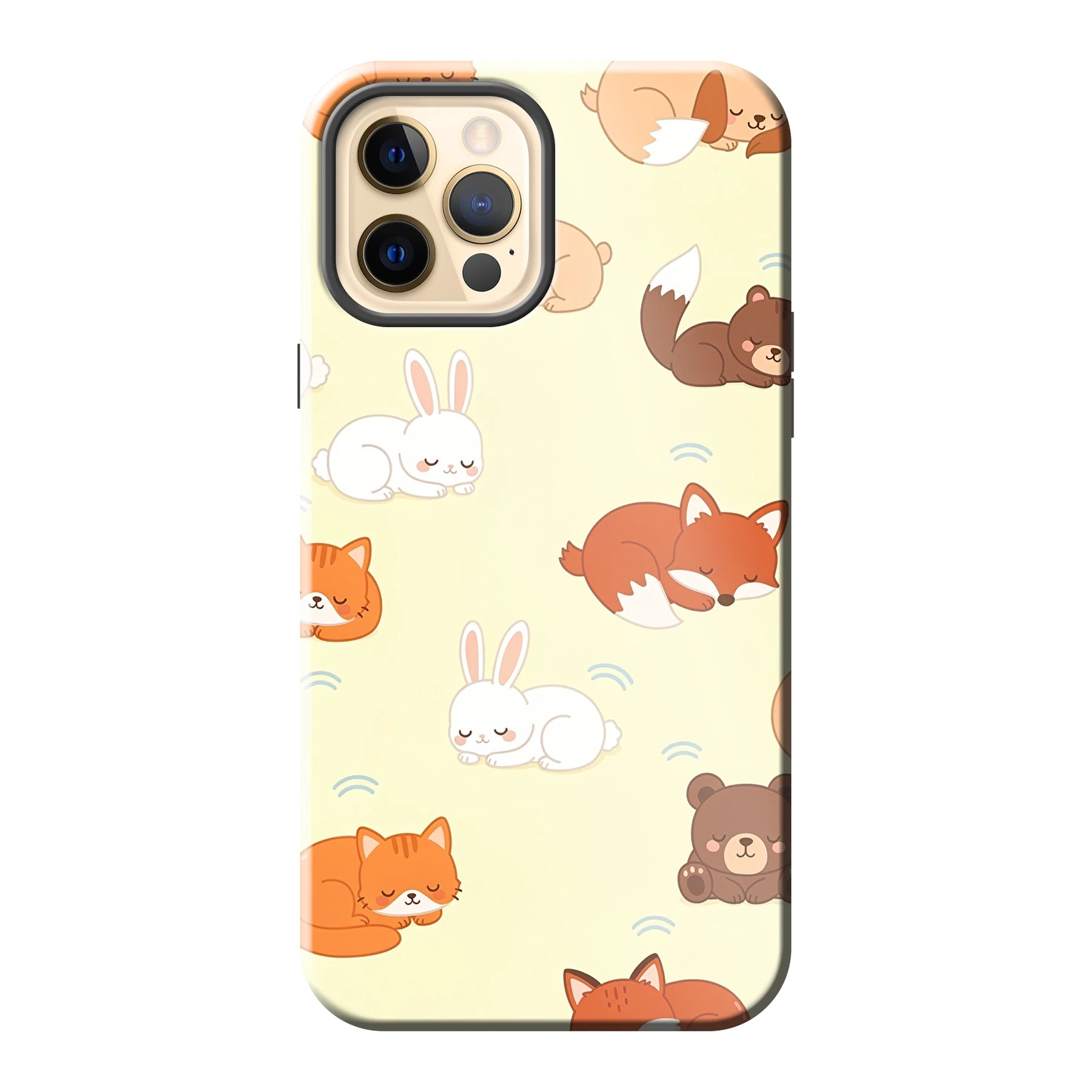Apple iPhone 12 / iPhone 12 Pro phone case